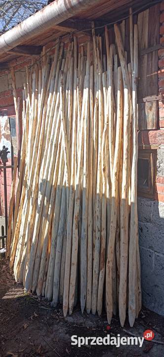 Palik tyczki do drzewekmalin i na ogrodzenie Skierniewice sprzedam