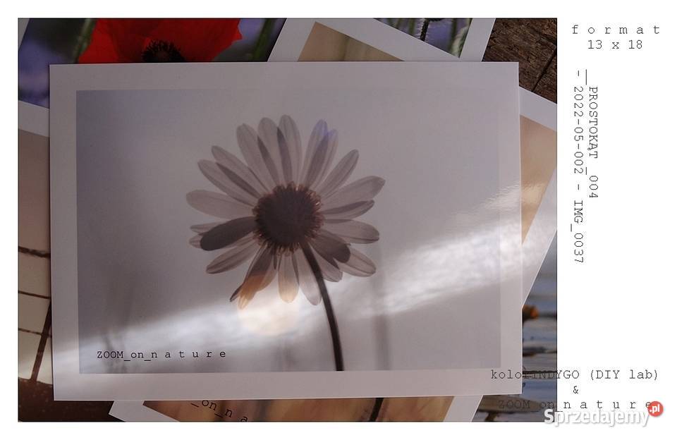 ZDJĘCIA przyrodnicze czI