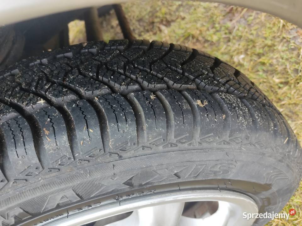 enzo cup 13 cult 126pcorsaunotrabi Gorzów Wielkopolski