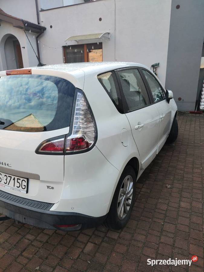 Renault scenic wielkopolskie