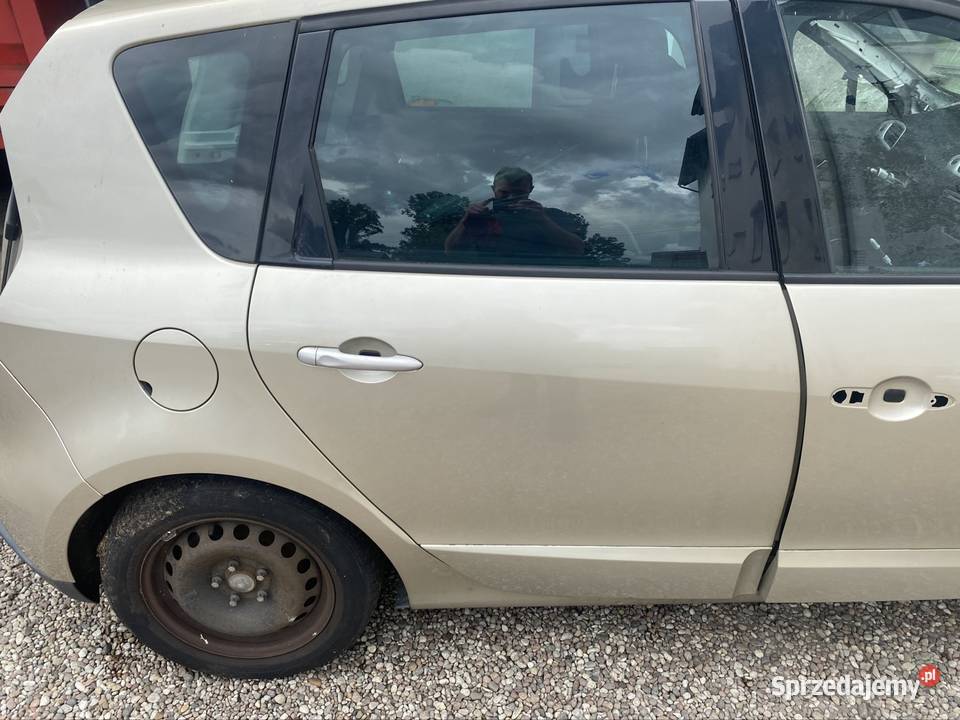 Drzwi lewe prawe tył przód TED11 Renault Scenic Drzwi