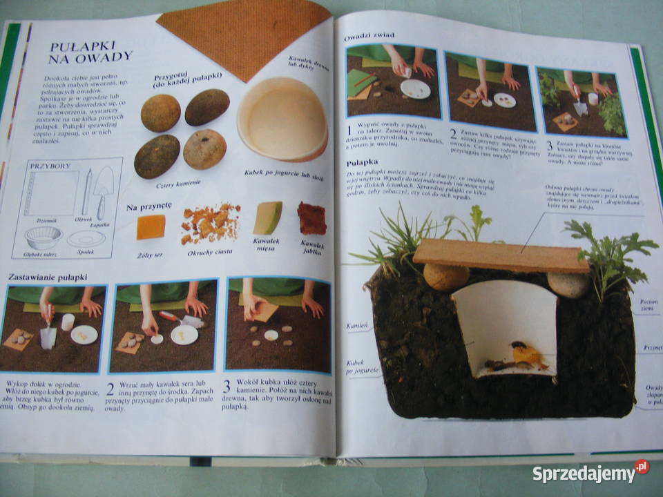 Moja pierwsza książka Przyroda Atlas świata Oborniki Śląskie