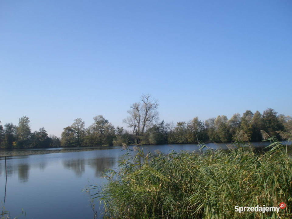 Działka gruntowa w Otwocku Wielkim Zamkowa 52m Otwock Wielki
