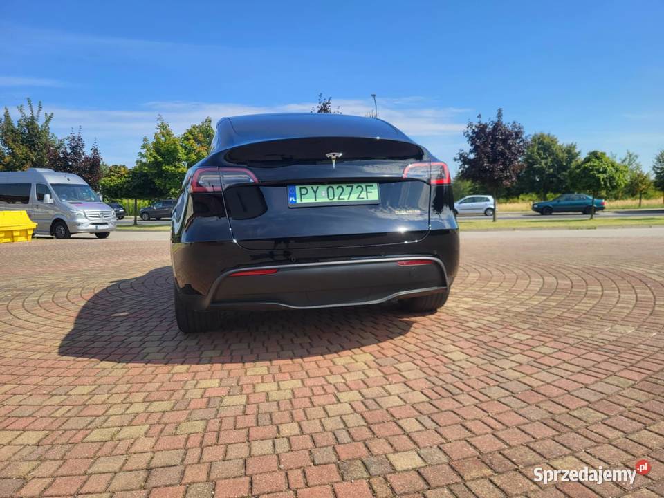 Tesla Y Long Ramge Dual Motor AWD PPF HAK Model Y Poznań