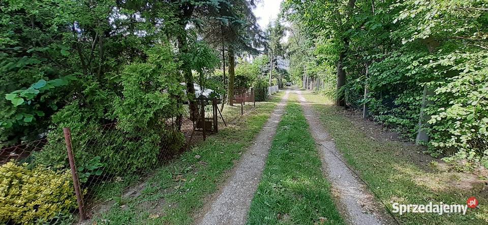 Działka ROD Dobrzenica Prażmów
