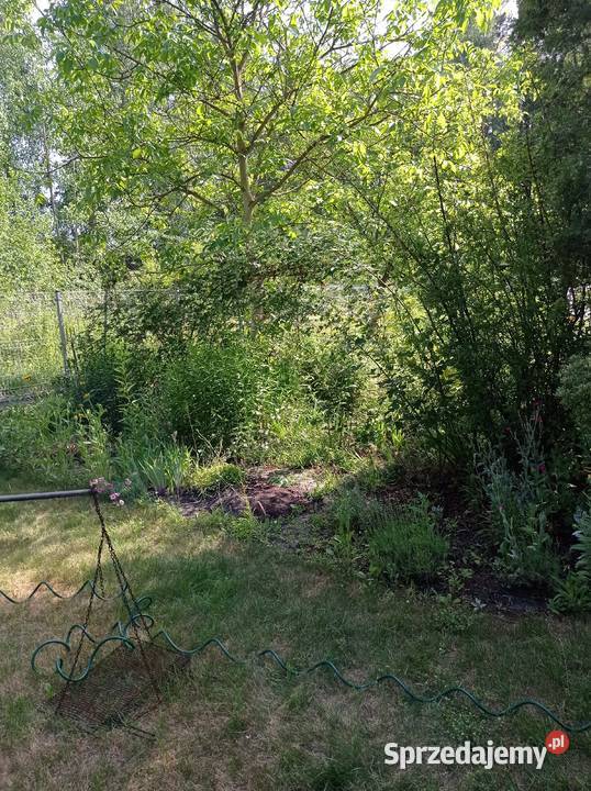 Sprzedam działkę ROD Chobot Warszawa