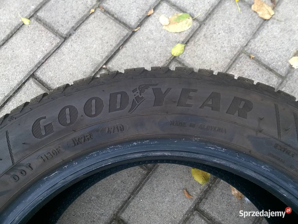 Opony 20555 R16 94H XL Goodyear Vector 4 Seasons całoroczne Frampol