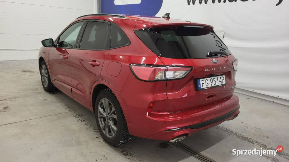 Ford Kuga 25 FHEV FWD STLine X III 2019 lakier metallic Grójec