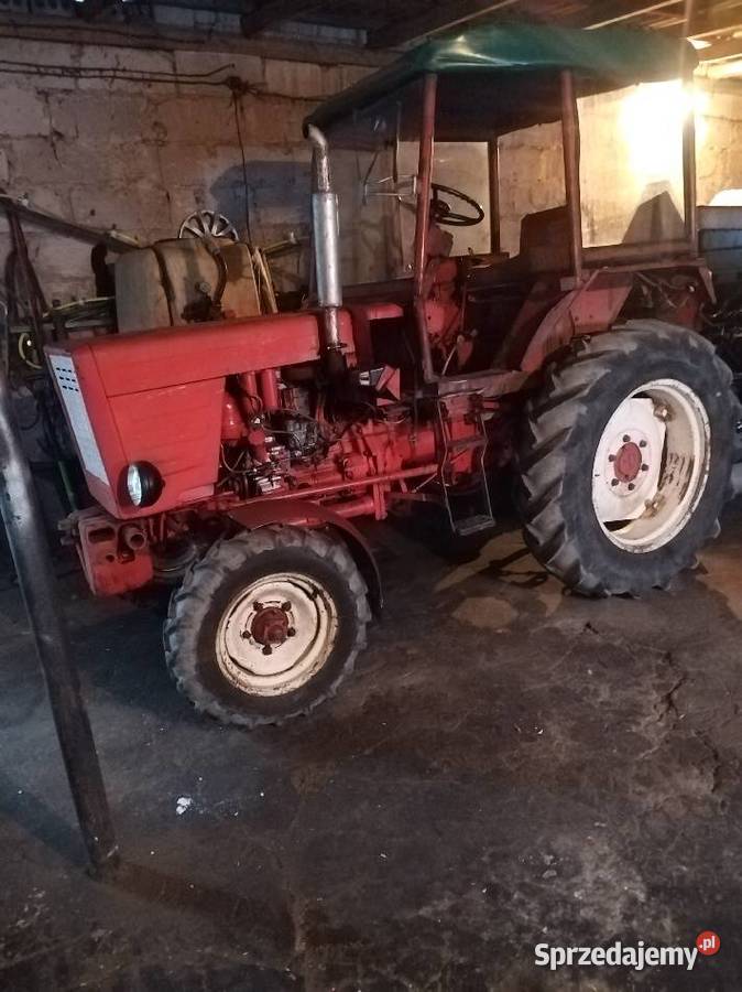 Władimirec T25 Rusek Władimirec Brodnica