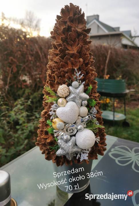 Choinka z szyszek buczyny wielkopolskie Rogoźno