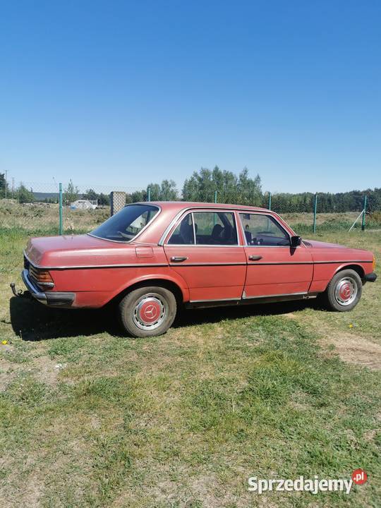 Mercedes W123 24D Grudziądz