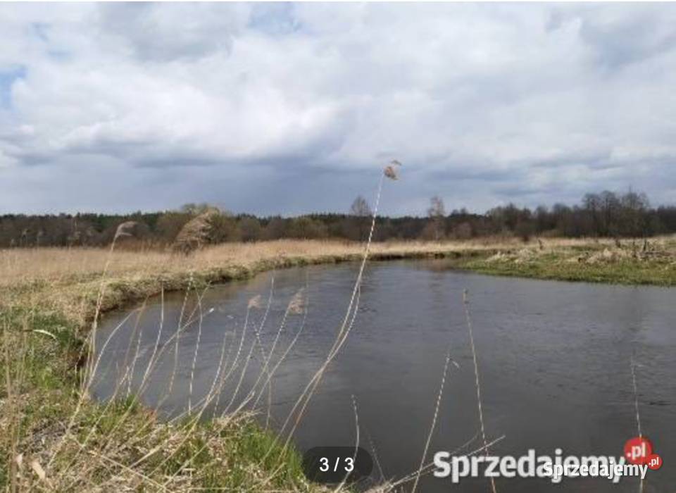 Działka Wartą Trzebca 2700m2 2700m2 łódzkie