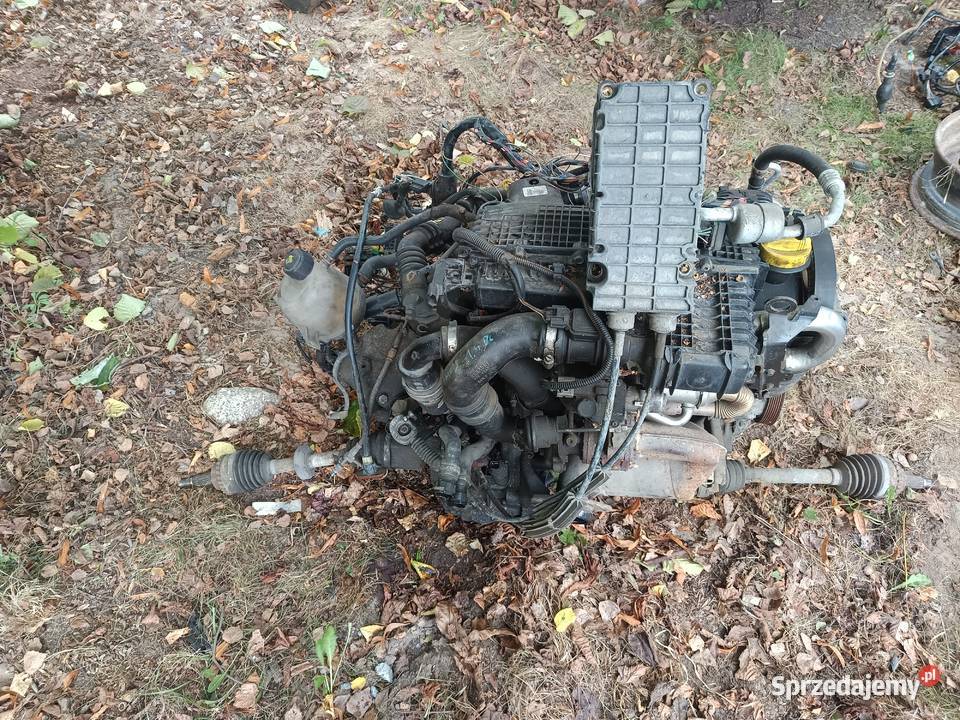 15 dci Clio Megane Scenic Laguna silnik skrzynia Jarocin