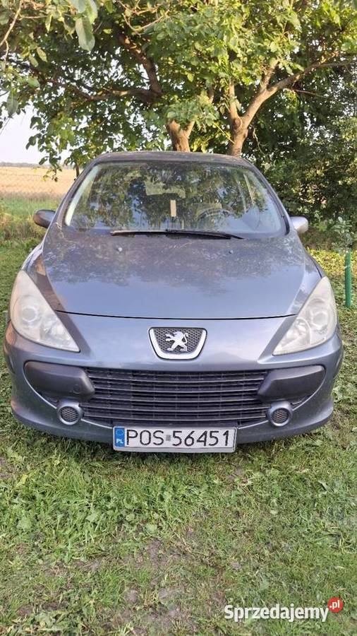 Peugeot 307 14 2005 Gorazdowo