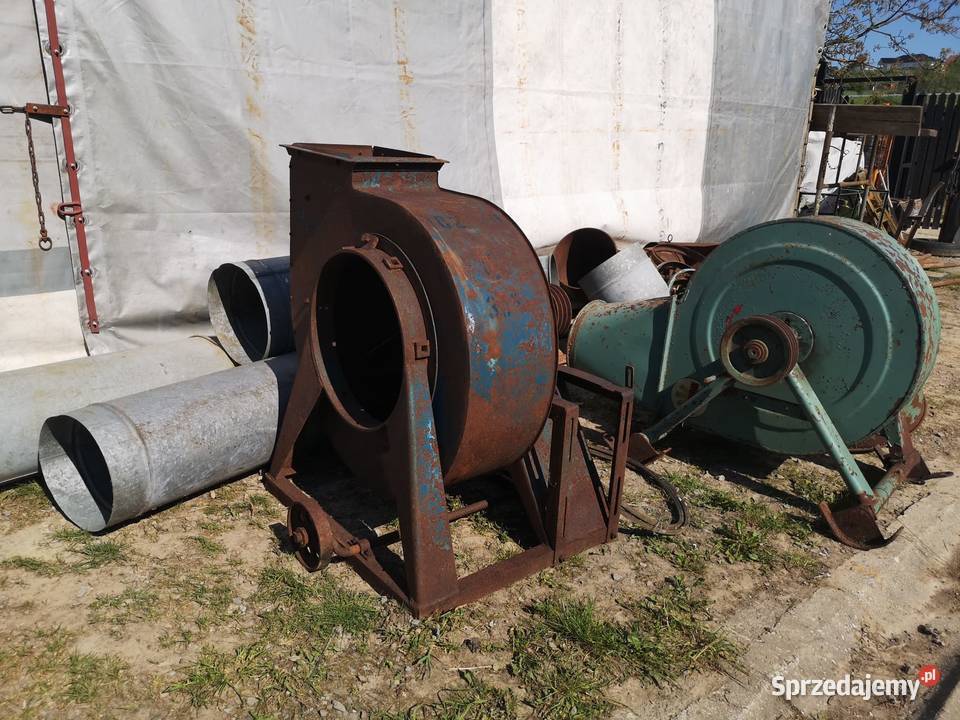 Ssawa dmuchawa niemiecka Górno