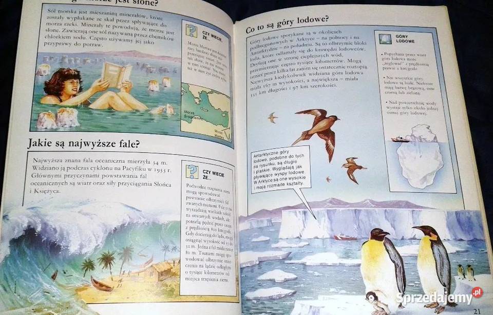 Ziemia Morze i Niebo Świat bez tajemnic Jackie Chełm sprzedam