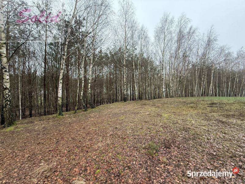 działka z warunkami zabudowy w spokojnej Sprzedaż Stawek