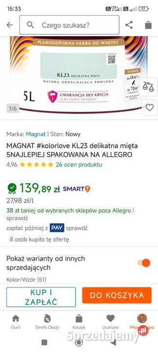 Farba Magnat delikatna mięta Chorzów sprzedam