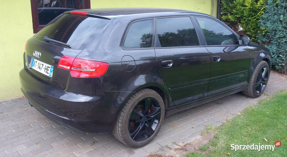 Audi a3 19tdi 2008r lift Konin