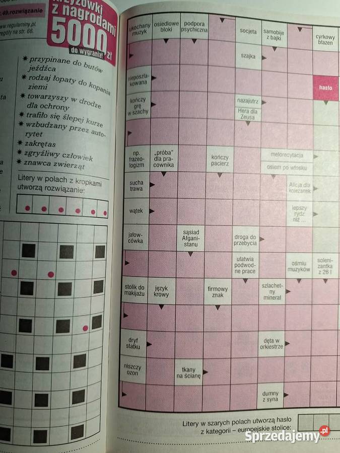 Wiem Przyjazne Panoramy Wydanie Specjalne 162019 Warszawa sprzedam