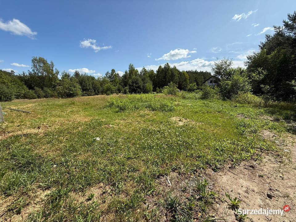 Dom lesie jeziorem Białe mazowieckie