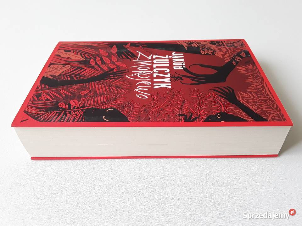 ZMOROJEWO ŚWIĄTYNIA 2x Jakub Żulczyk miękka
