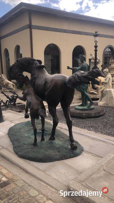 Koń z brązu Koń ze źrebakiem z brązu 300 Szczecin