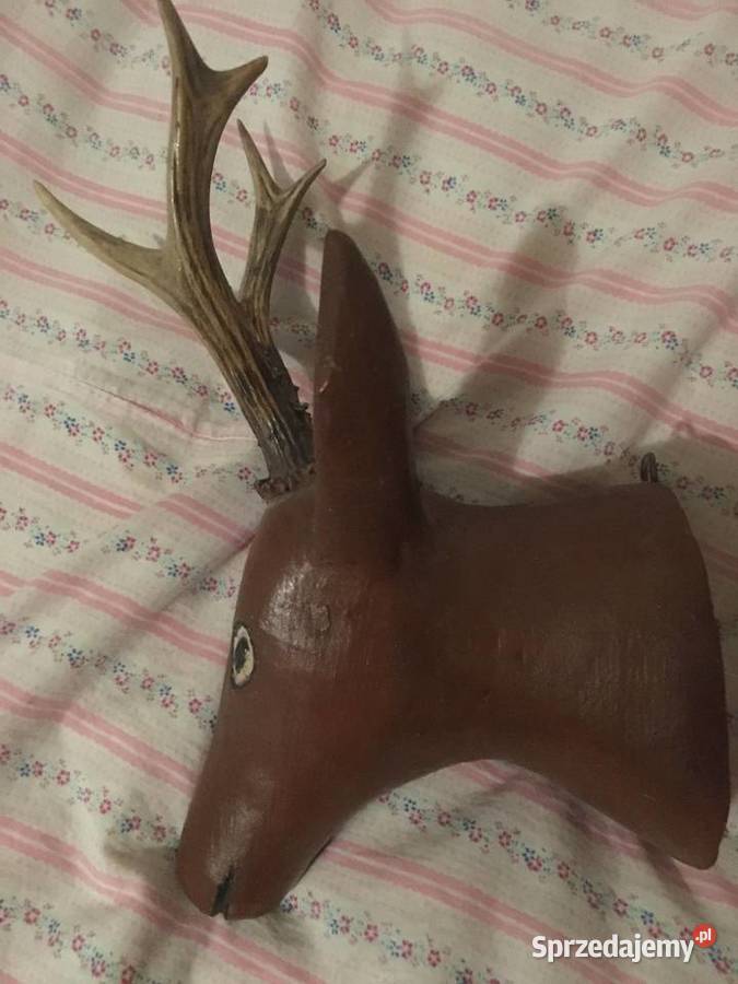 Głowa KOZIOŁKA Majdan Królewski