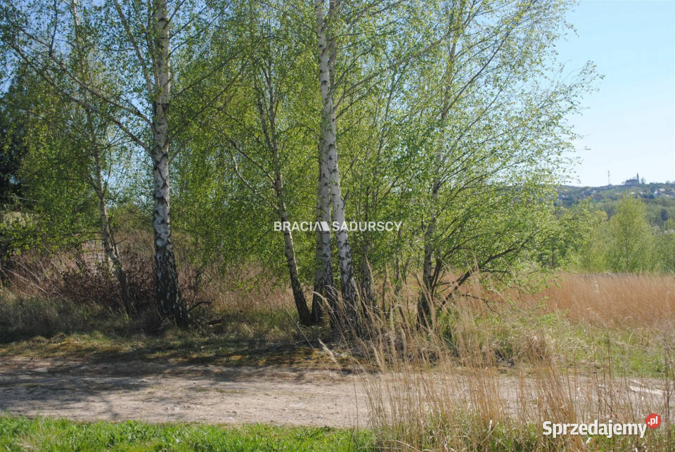 Działka Przebieczany 1000m2