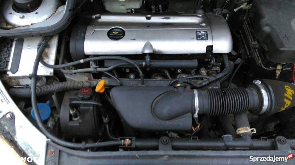 Peugeot 206 GT Limitowana edycja regulowane zawieszenie pomorskie