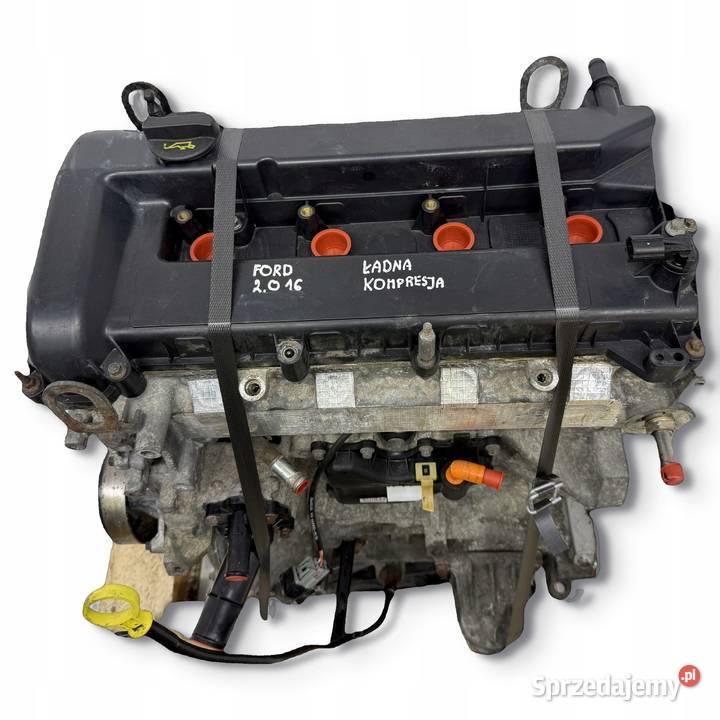 SILNIK TBBA TBBB Ford Mondeo IV MK4 20 16V 145 Chełm