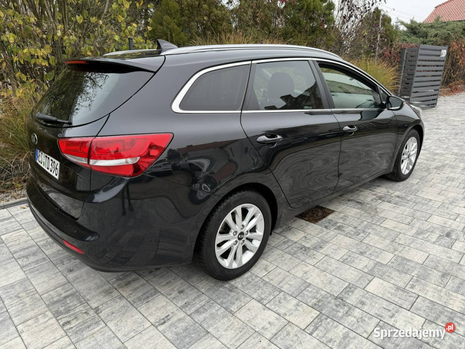 Kia Ceed Zadbana bezwypadkowa przepiękny perłowy gniazdo USB Kia Poznań