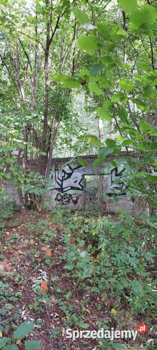 Działka inwestycyjna ze starym młynem 75zł/m2