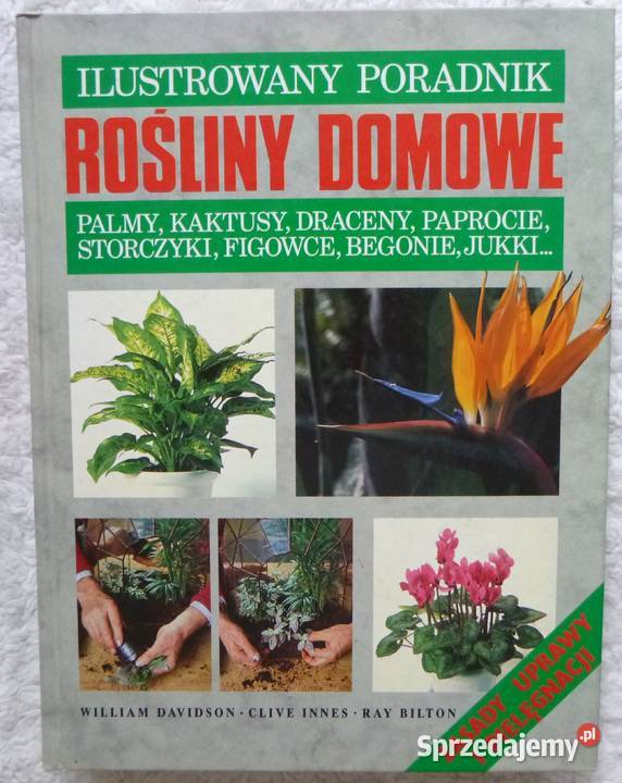 Rośliny domowe ilustrowany poradnik Rok wydania 1992 Warszawa