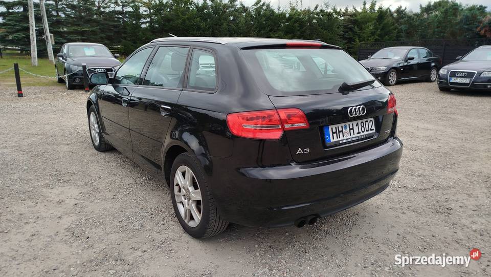 Audi A3 Pełen Serwis Bezwypadkowy 11 lat w Bytów sprzedam