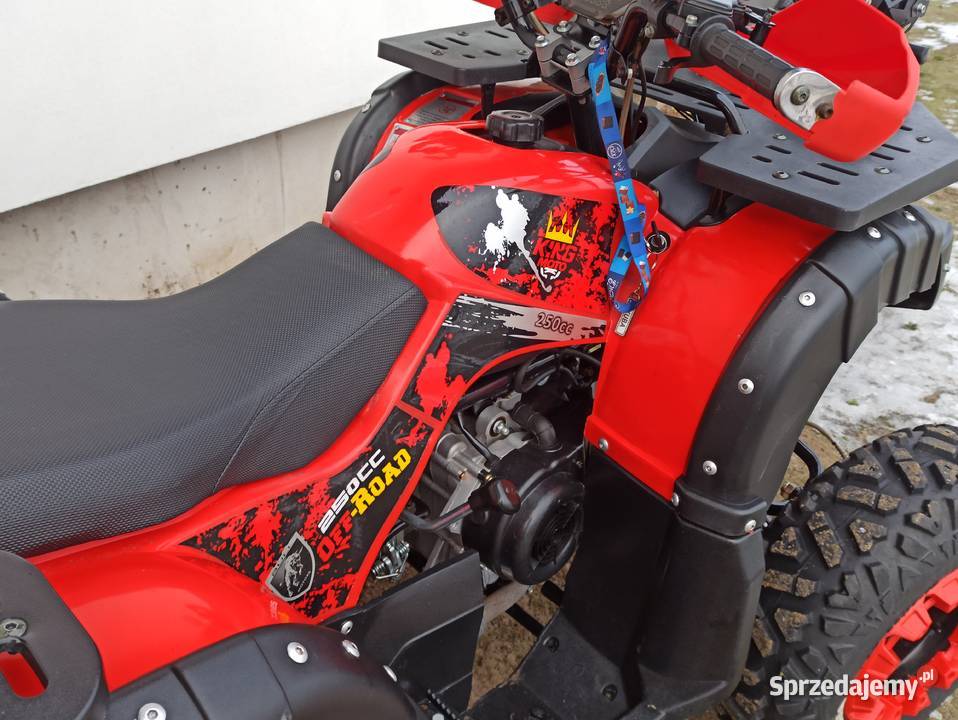 Quad 250 Hummer automat 1Rkoła 10 sn nowy Piotrków Kujawski sprzedam