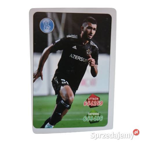 Karta piłkarska Euro 2024 dolnośląskie Legnica