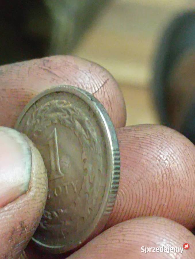 Sprzedam monete 1 zl 1994 Chełm