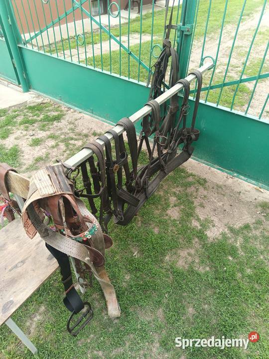 Sprzedam dwa zaprzęgi Werbkowice