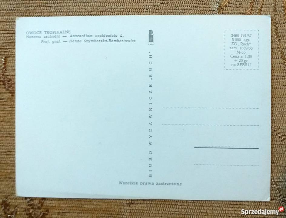 NANERCZ ZACHODNI BLISKI KREWNIAK MANGO Pocztówki i karty telefoniczne Piszczac sprzedam