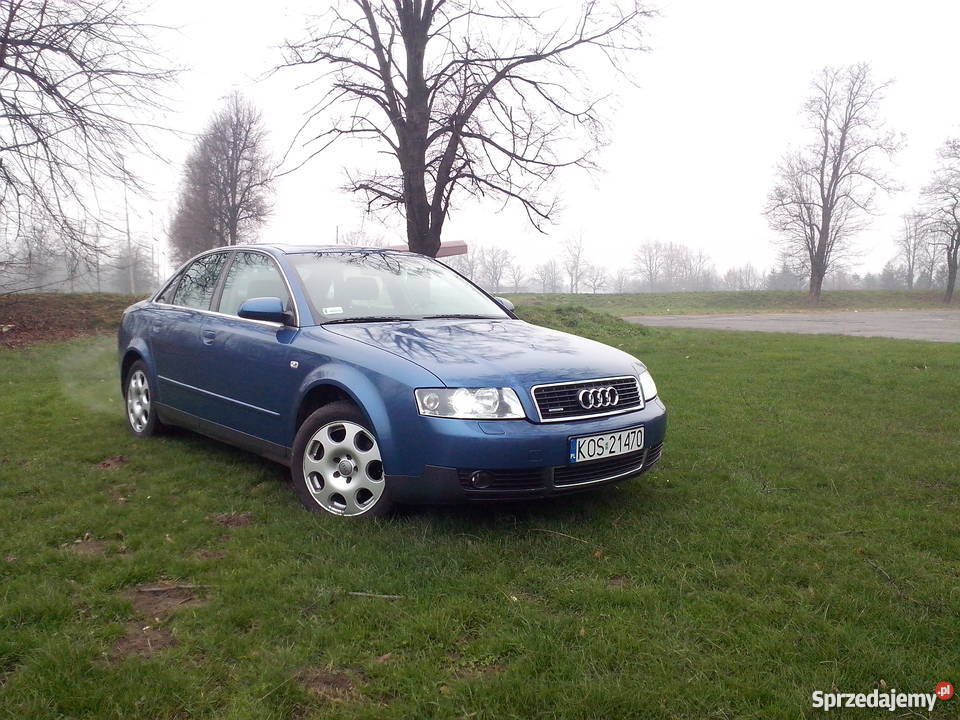 Sprzedam Audi A4 B6 25 TDI Quattro Doinwestowana Brzeszcze sprzedam