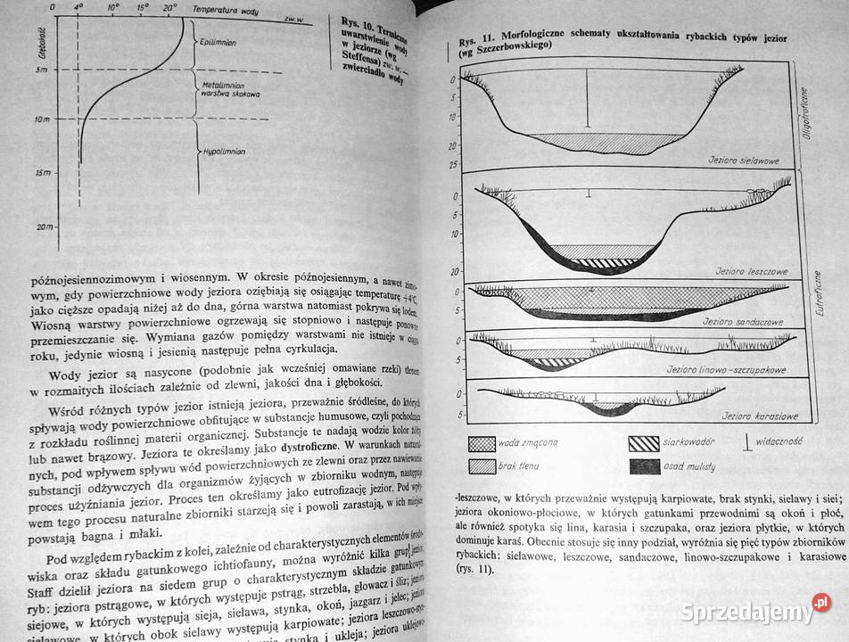 Rybactwo stawowe Roman Prawocheński Chełm sprzedam