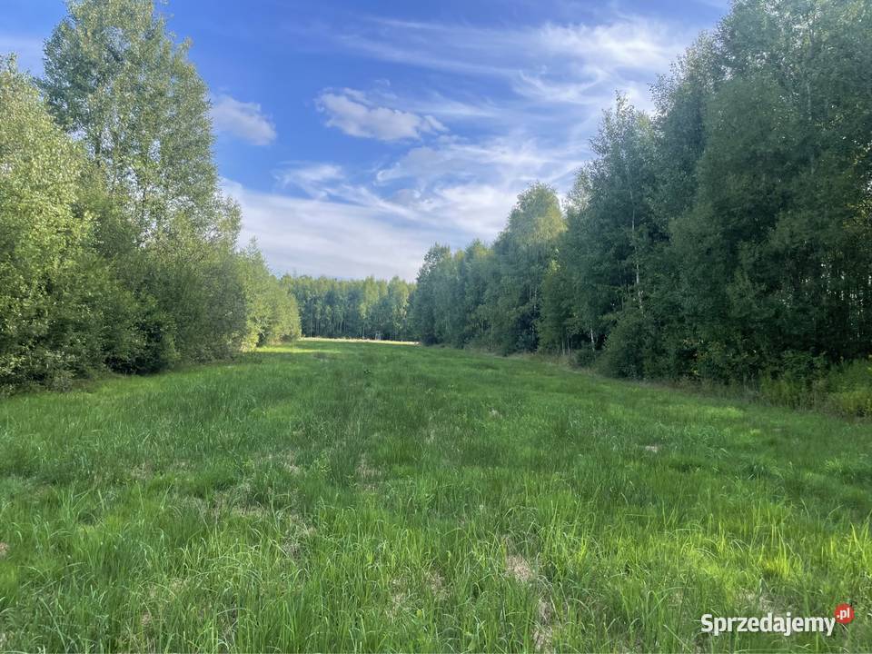 Dziatka budowlana 3318m2 Gm Falkow szeroka Budy