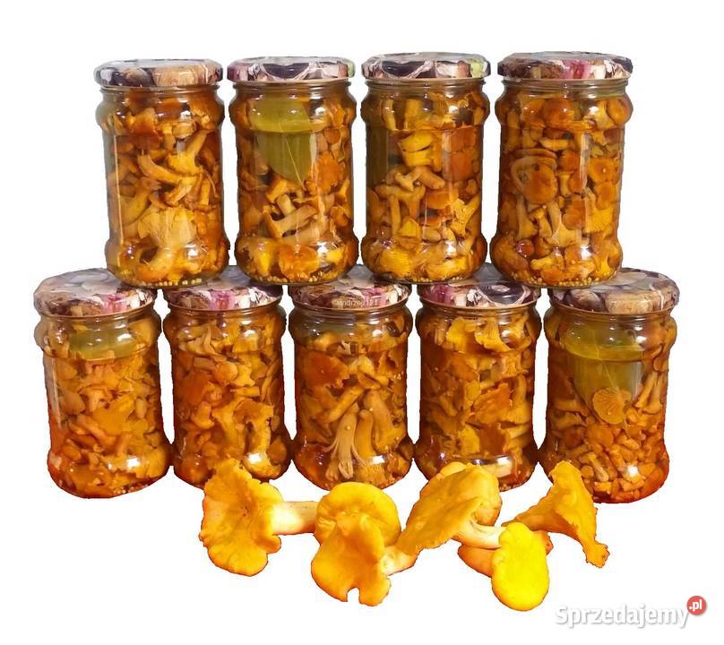 Kurka Marynowana 315ml 2025 warmińsko-mazurskie Elbląg