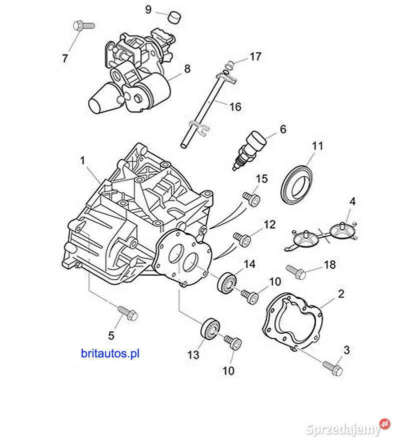USZCZELNIACZ SIMMERING PIASTY LEWY ROVER 75 MG Poznań
