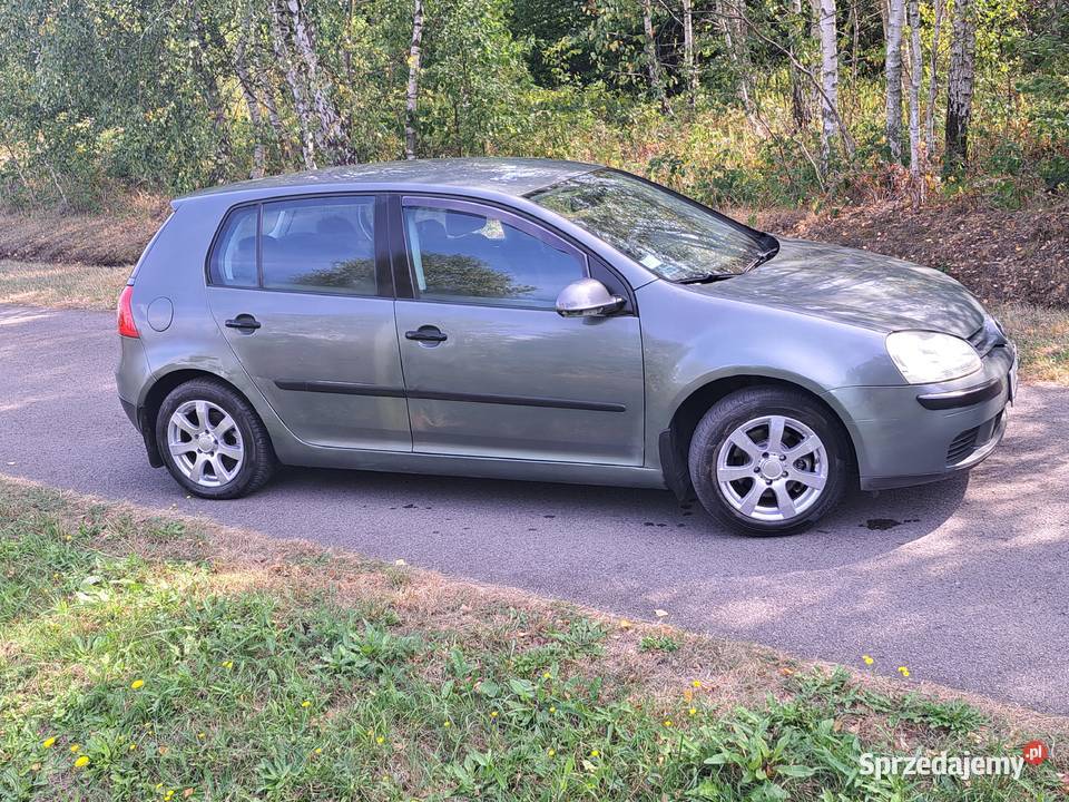 Sprzedam Volkswagen Golf V 16 benzyna 2004r mazowieckie Żyrardów sprzedam