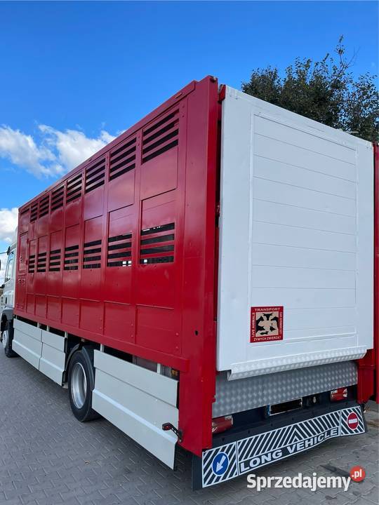 DAF CF 370 do żywca zwierząt świętokrzyskie Kielce