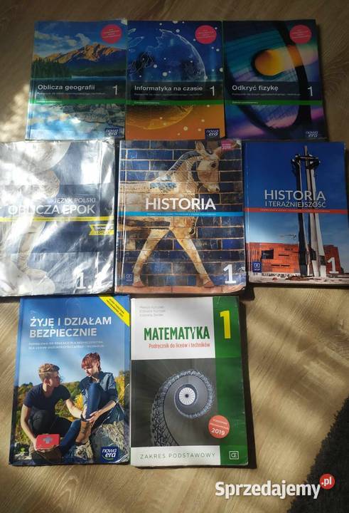 Podreczniki do liceum technikum kl 1 Pozostałe Borów