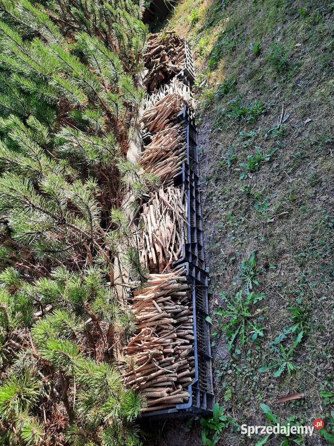Drewno do kominka małopolskie Kraków
