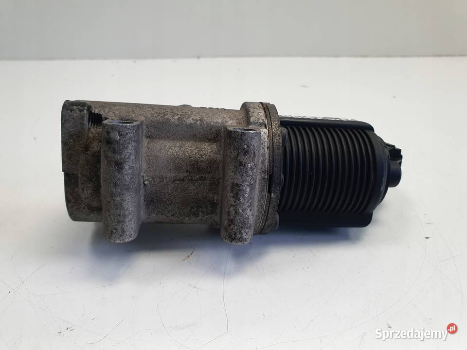 Opel Zafira B 19 CDTI ZAWÓR EGR 50024005 Rudka sprzedam